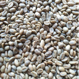 Washed Guji Ethiopian Coffee Grade 1